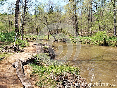 Buckquarter Creek Trail in Eno River State Park Stock Photo